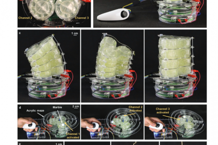 High-Performance HASEL Actuators for Untethered Soft Robots